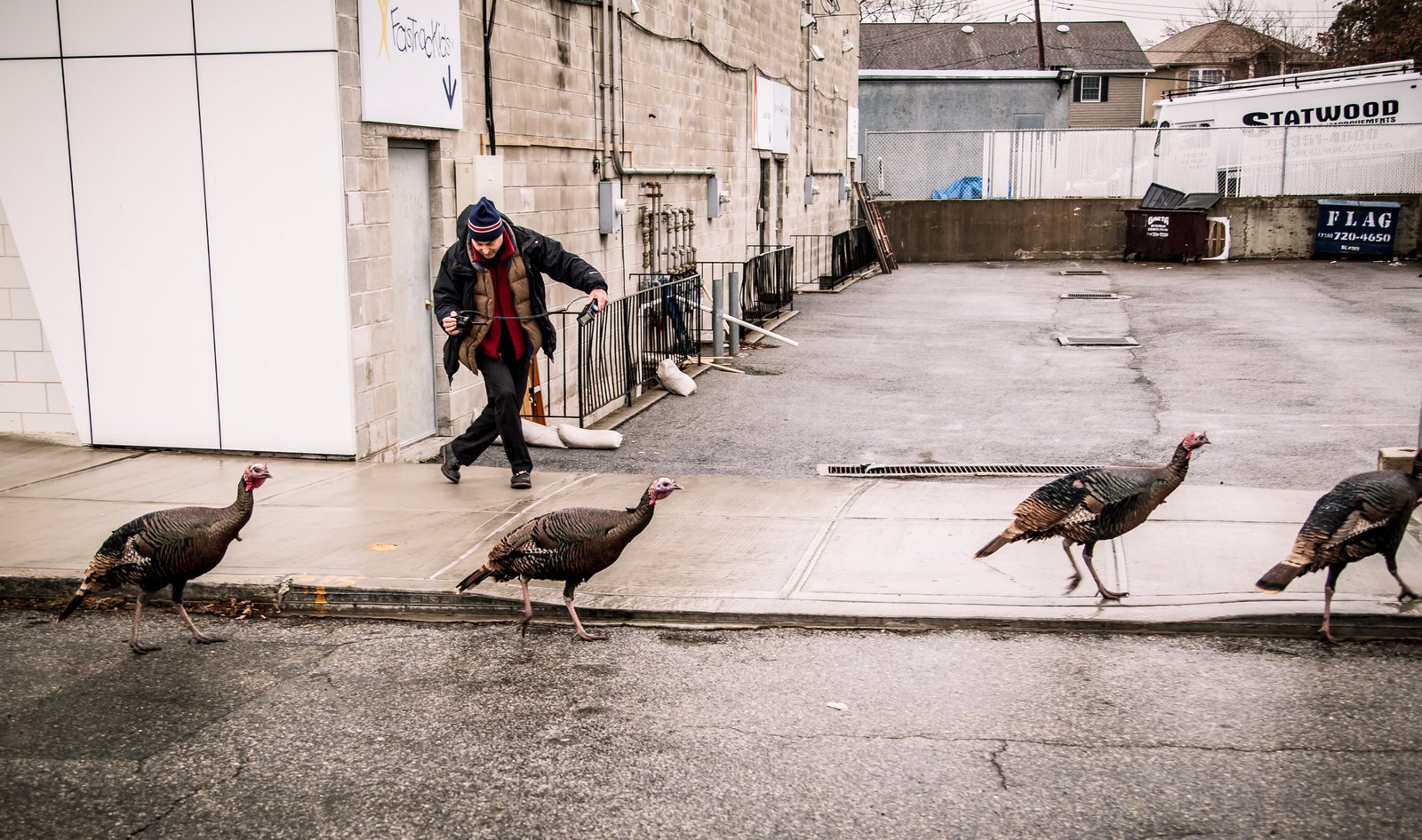 art-of-sandy-mo-steve-beltzer--aka-tango-steve-staten island 2.jpg